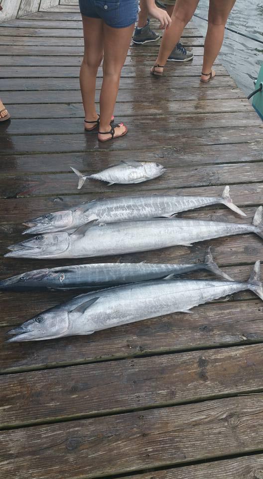 Hatteras Fishing Report 8/27/2015