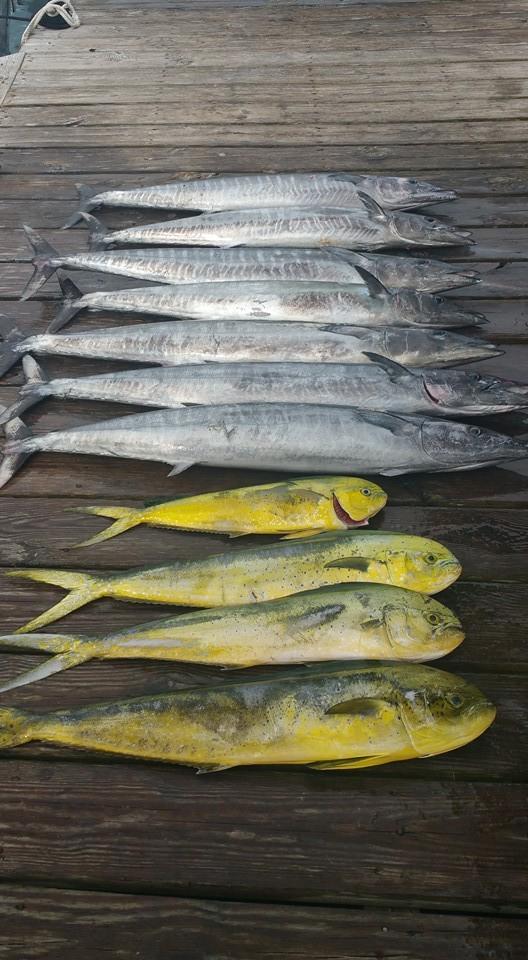 Hatteras Fishing Report 8/30/2015 