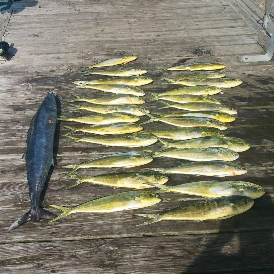 Hatteras Fishing Report 8/6/2015