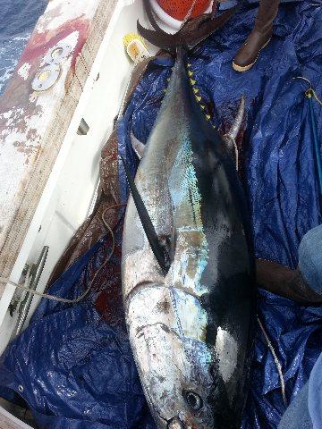 Hatteras Fishing Report 3/22/2015