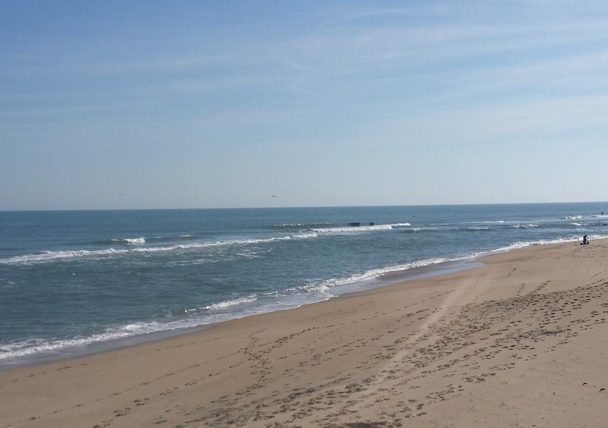Hatteras Fishing Report 1/21/2015