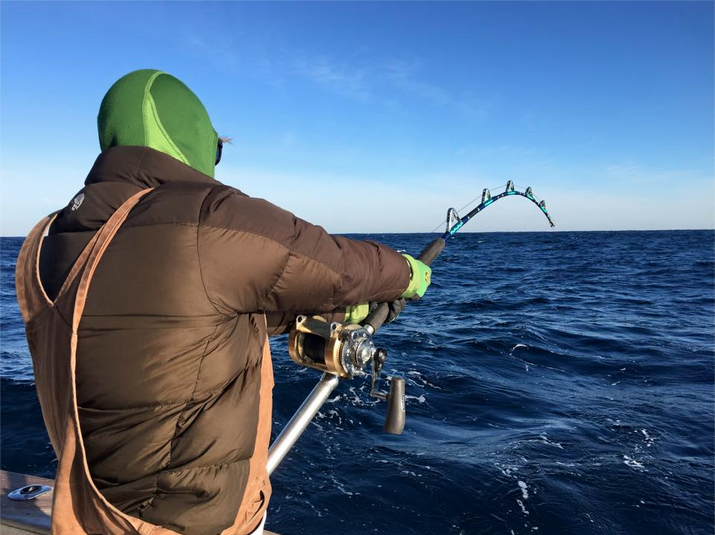 Hatteras Fishing Report 2/8/2015