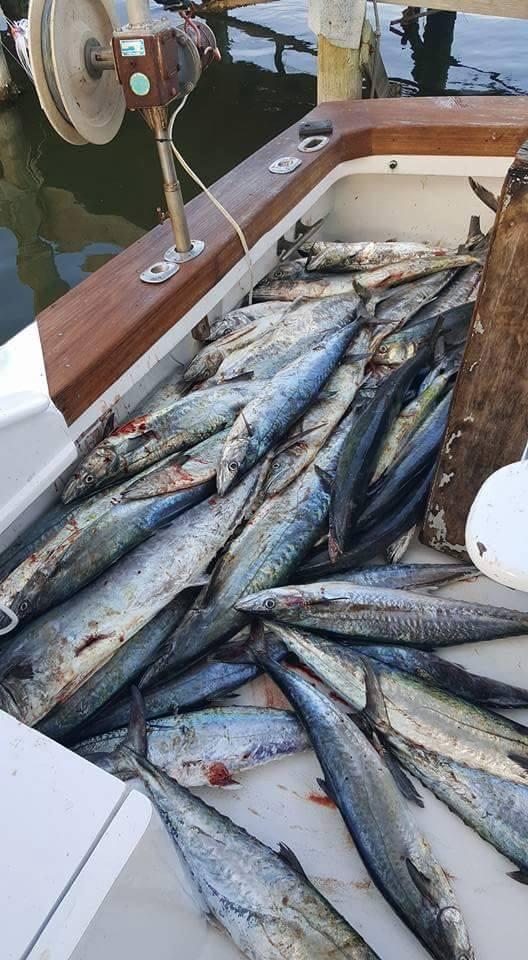 11/25/2016 Hatteras Fishing Report